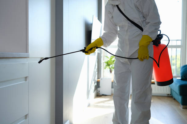 Best Local Mold Removal Service  in Glenwood, IL