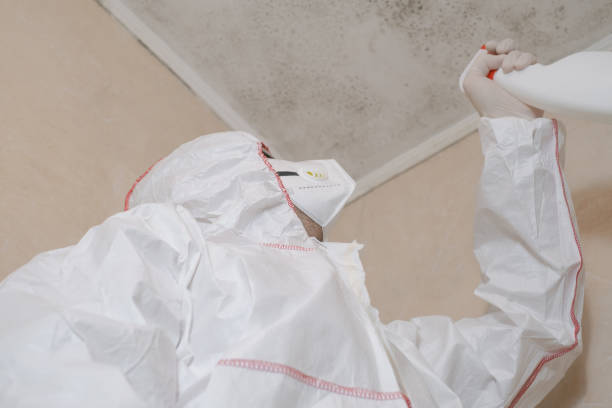 Best Mold Testing  in Glenwood, IL